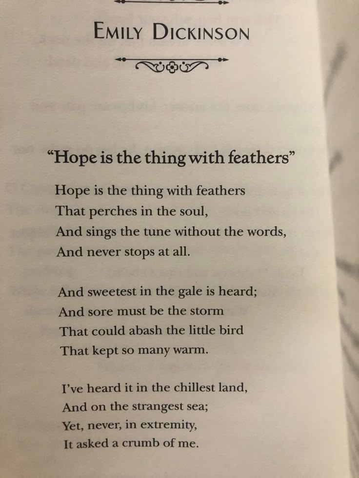 Hope is the Thing with Feathers